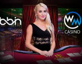 HB火博·体育官方正版手游手机版